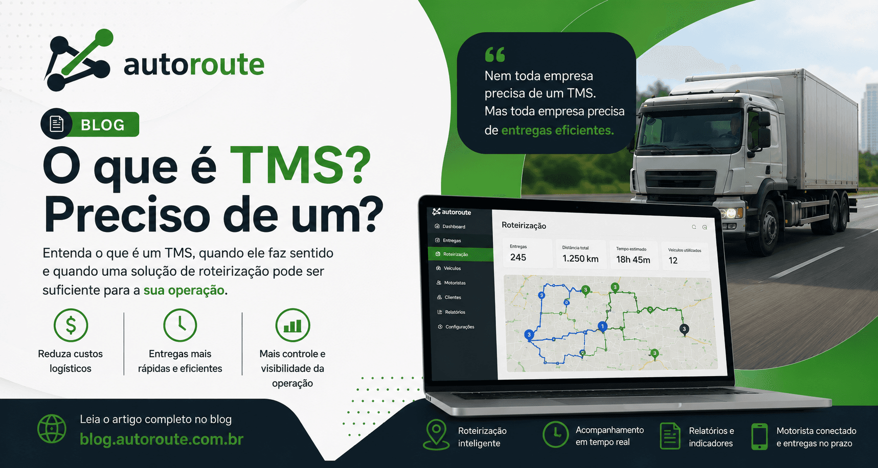 O que é TMS?
